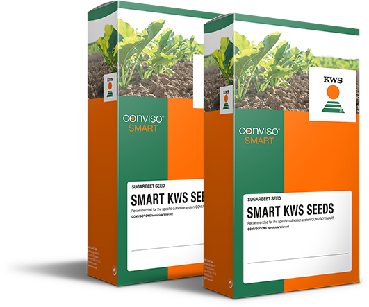 Smart KWS Seeds